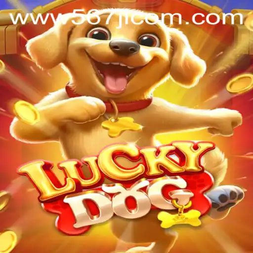 Exploring the Thrills of LuckyDog: A Comprehensive Guide